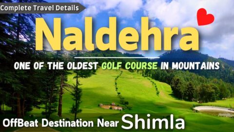 Naldehra Shimla | Places To Visit Near Shimla | Mashobra Shimla | Naldehra Vlog | Shimla